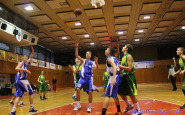bj_ahojbj_kings_(10).jpg