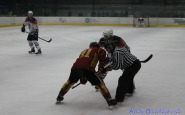 img_6586.jpg