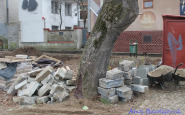 img_7654.jpg
