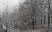 sneh_ahojbj_(11).jpg