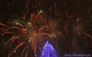 img_9555.jpg