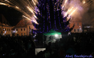 img_9558.jpg