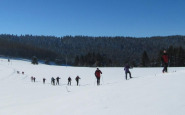 img_0234.jpg