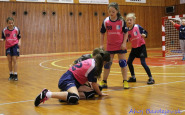 mini_hadzana_ahojbardejovsk_(3).jpg