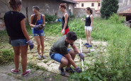 img_59131024x768.jpg