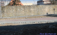 ahojbardejovsk_rez_strom_(5).jpg