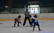 ahojbardejov_hok_ziaci__(5).jpg