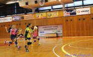 minihadzana_ahojbardejovsk_(8).jpg
