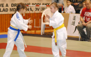 10307362_949735878383971_5321768688174828191_n.jpg