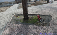 park_ahoojbardejovsk_(9).jpg