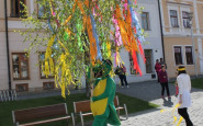 dracik_maj_ahojbardejov_(6).jpg