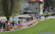 dracik_maj_ahojbardejov_(8).jpg