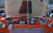 tun_fh_(3).jpg