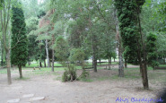 ihrisko_zskom_ahoj_(2).jpg