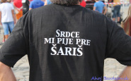 ahojbardejovsk_saris_2015_(6).jpg