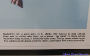 ahojbardejovsk_svetlom_a_perom_(4).jpg