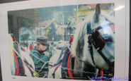ahojbardejovsk_svetlom_a_perom_(7).jpg