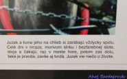 ahojbardejovsk_svetlom_a_perom_(8).jpg