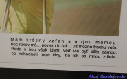 ahojbardejovsk_svetlom_a_perom_(10).jpg