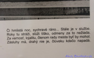 ahojbardejovsk_svetlom_a_perom_(12).jpg