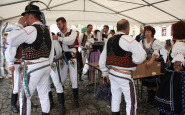 img_8924.jpg
