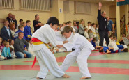 judo3(1).jpg