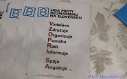 reuma_ahojbardejovsk_2015_(6).jpg