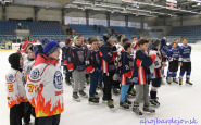 hokej_memorial_baju_wwwahojbardejovsk_(2).jpg