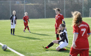 myj_bj_ahojbardejovsk_(3).jpg