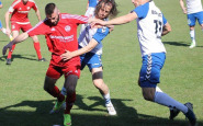 bj__borcice_ahojbardejovsk_(1).jpg