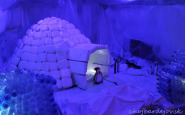 dd_2016_ahojbardejovsk_(12).jpg