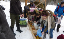 Žiaci sa vybrali do Malcova a k Livovskej Hute, pomáhali lesníkom