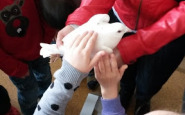 20160426_100530.jpg