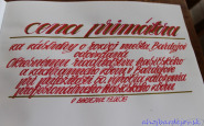 part_mesto_17616_ahojbardejovsk_(12).jpg