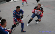 wwwahojbardejovsk_hokejbalbj_(4).jpg
