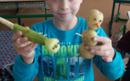 20161014_113753.jpg