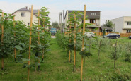 zborov_sutaz_(2).jpg