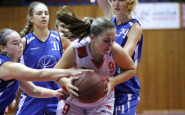 basket_jm_(7).jpg