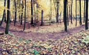 oocrbksingletrack2etapa3.jpg