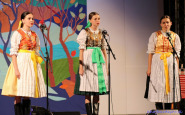 makovicka_struna_2016_ahojbardejov_(8).jpg