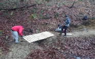 singletrack2.jpg