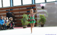 gymnastika_2017_(1).jpg