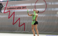 gymnastika_2017_(10).jpg