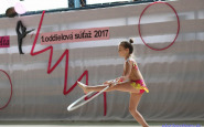 gymnastika_2017_(11).jpg