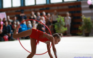 gymnastika_2017_(17).jpg