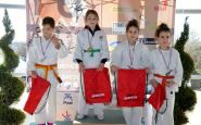 judo_fr_11.jpg
