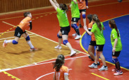 osy_bj_rev_ahojbj_(10).jpg