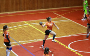 osy_bj_rev_ahojbj_(12).jpg