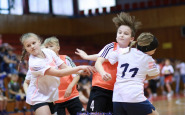 handball_2017_(1).jpg