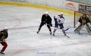 hokej_bjsanok_(5).jpg